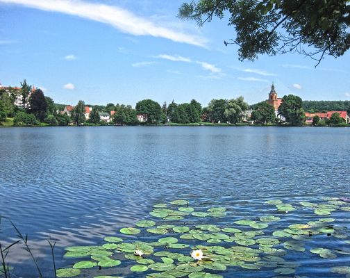 Buckow Natur zum Träumen Bad Saarow Ort